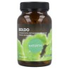Boldo