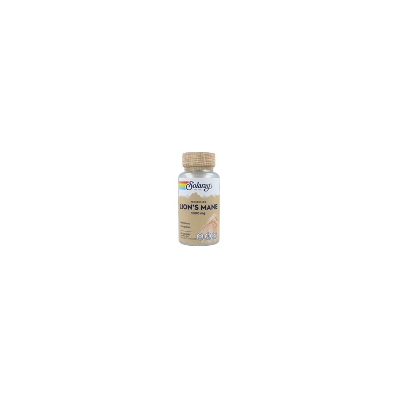 Fermented Lion's Mane