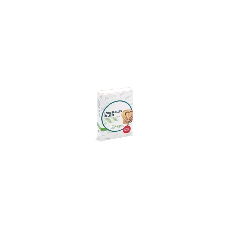 Lactobacillus Gasseri