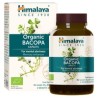 Bacopa organic