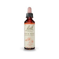 Bach Rock Rose
